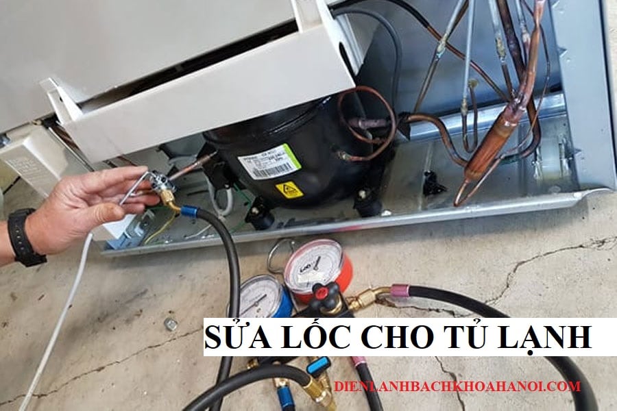 Dịch Vụ Sửa Tủ Lạnh Tại Hà Đông